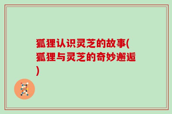 狐狸认识灵芝的故事(狐狸与灵芝的奇妙邂逅)
