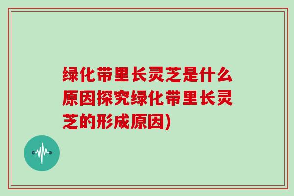 绿化带里长灵芝是什么原因探究绿化带里长灵芝的形成原因)