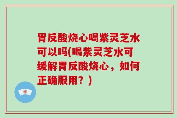 胃反酸烧心喝紫灵芝水可以吗(喝紫灵芝水可缓解胃反酸烧心，如何正确服用？)