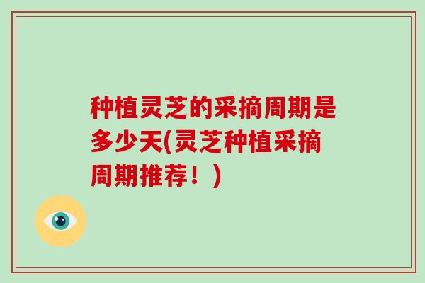 种植灵芝的采摘周期是多少天(灵芝种植采摘周期推荐！)