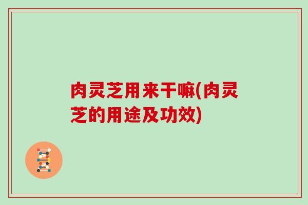 肉灵芝用来干嘛(肉灵芝的用途及功效)