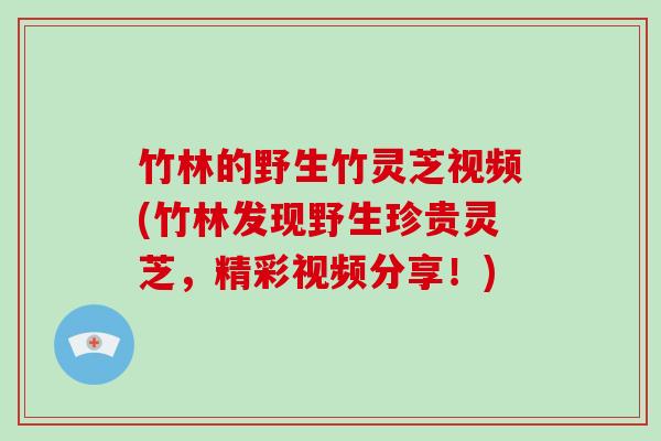 竹林的野生竹灵芝视频(竹林发现野生珍贵灵芝，精彩视频分享！)