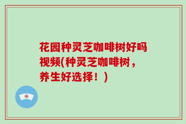 花园种灵芝咖啡树好吗视频(种灵芝咖啡树，养生好选择！)