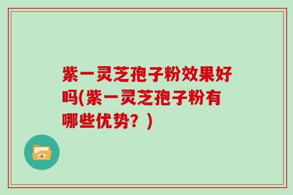 紫一灵芝孢子粉效果好吗(紫一灵芝孢子粉有哪些优势？)