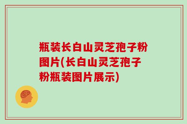 瓶装长白山灵芝孢子粉图片(长白山灵芝孢子粉瓶装图片展示)