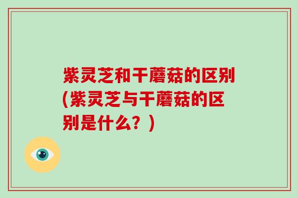 紫灵芝和干蘑菇的区别(紫灵芝与干蘑菇的区别是什么？)