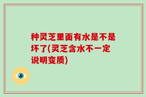 种灵芝里面有水是不是坏了(灵芝含水不一定说明变质)-第1张图片-灵芝大师 种灵芝里面有水是不是坏了(灵芝含水不一定说明变质)-第1张图片-灵芝大师