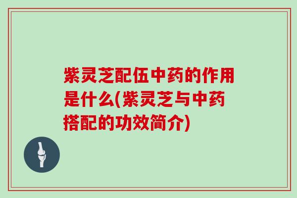 紫灵芝配伍中药的作用是什么(紫灵芝与中药搭配的功效简介)