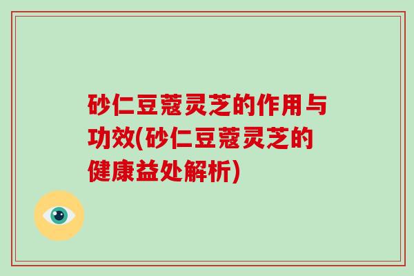 砂仁豆蔻灵芝的作用与功效(砂仁豆蔻灵芝的健康益处解析)