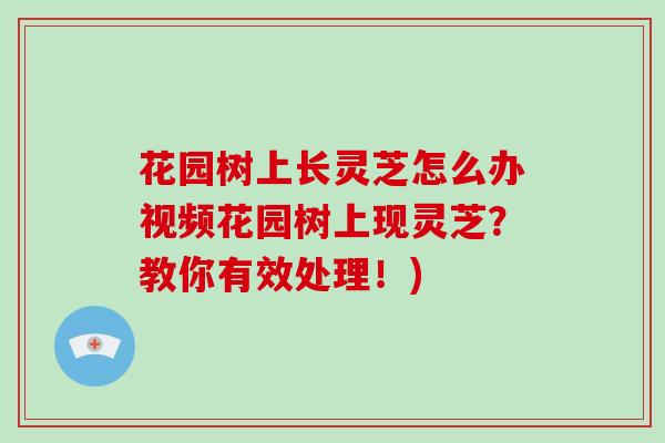 花园树上长灵芝怎么办视频花园树上现灵芝？教你有效处理！)