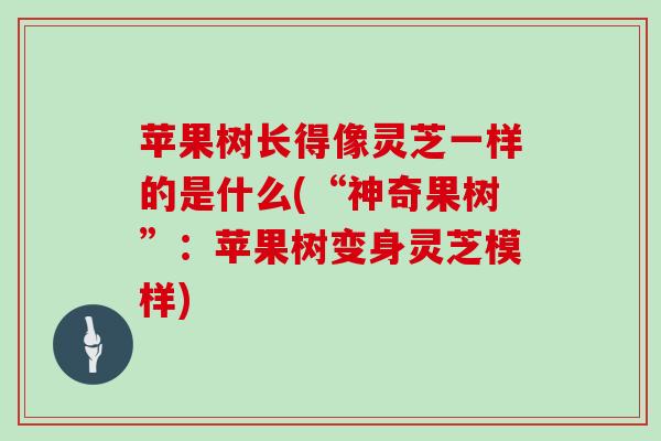 苹果树长得像灵芝一样的是什么(“神奇果树”：苹果树变身灵芝模样)-第1张图片-灵芝大师