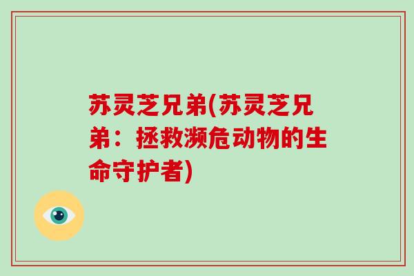 苏灵芝兄弟(苏灵芝兄弟：拯救濒危动物的生命守护者)-第1张图片-灵芝大师
