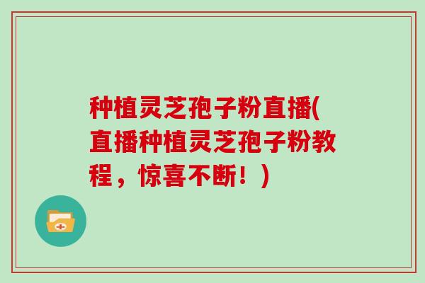 种植灵芝孢子粉直播(直播种植灵芝孢子粉教程，惊喜不断！)