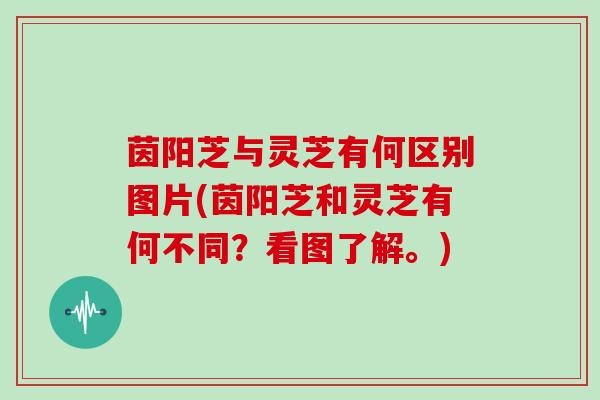 茵阳芝与灵芝有何区别图片(茵阳芝和灵芝有何不同？看图了解。)