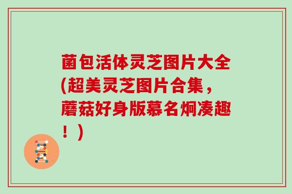 菌包活体灵芝图片大全(超美灵芝图片合集，蘑菇好身版慕名炯凑趣！)