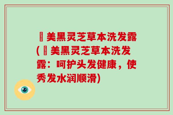 荳美黑灵芝草本洗发露(荳美黑灵芝草本洗发露：呵护头发健康，使秀发水润顺滑)