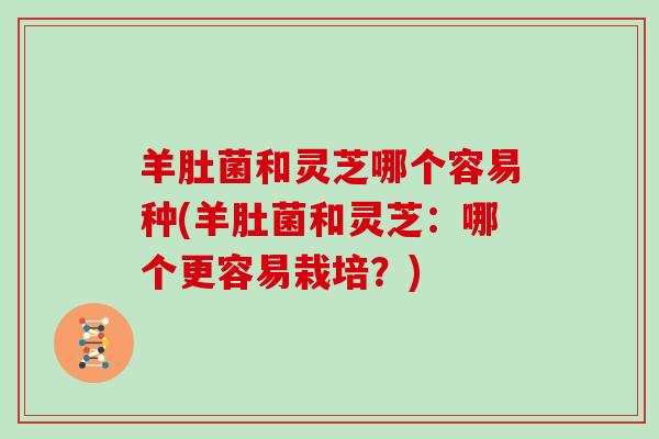 羊肚菌和灵芝哪个容易种(羊肚菌和灵芝：哪个更容易栽培？)