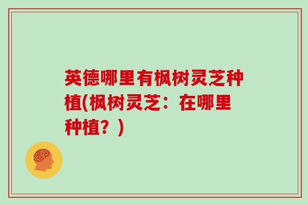英德哪里有枫树灵芝种植(枫树灵芝:在哪里种植?)-第1张图片-灵芝大师 英德哪里有枫树灵芝种植(枫树灵芝:在哪里种植?)-第1张图片-灵芝大师