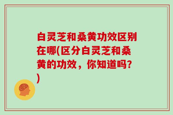 白灵芝和桑黄功效区别在哪(区分白灵芝和桑黄的功效，你知道吗？)