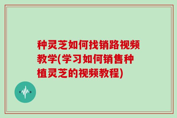 种灵芝如何找销路视频教学(学习如何销售种植灵芝的视频教程)-第1张图片-灵芝大师 种灵芝如何找销路视频教学(学习如何销售种植灵芝的视频教程)-第1张图片-灵芝大师
