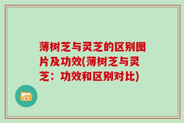 薄树芝与灵芝的区别图片及功效(薄树芝与灵芝：功效和区别对比)