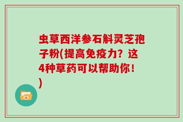 虫草西洋参石斛灵芝孢子粉(提高免疫力?这4种草药可以帮助你!)-第1张图片-灵芝大师 虫草西洋参石斛灵芝孢子粉(提高免疫力?这4种草药可以帮助你!)-第1张图片-灵芝大师
