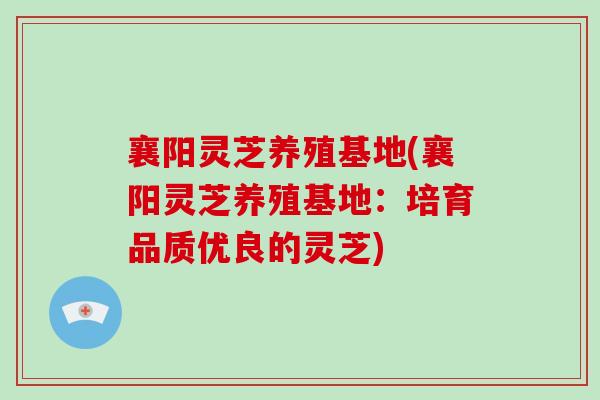 襄阳灵芝养殖基地(襄阳灵芝养殖基地:培育品质优良的灵芝)-第1张图片-灵芝大师 襄阳灵芝养殖基地(襄阳灵芝养殖基地:培育品质优良的灵芝)-第1张图片-灵芝大师