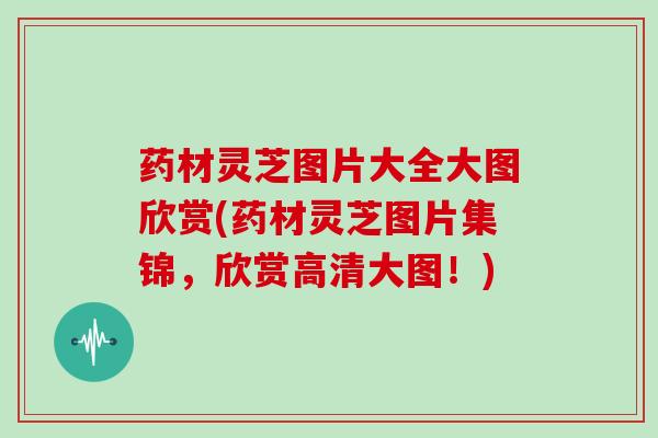 药材灵芝图片大全大图欣赏(药材灵芝图片集锦，欣赏高清大图！)