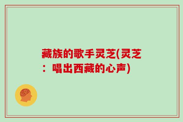 藏族的歌手灵芝(灵芝：唱出西藏的心声)