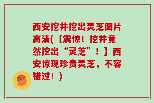 西安挖井挖出灵芝图片高清(【震惊！挖井竟然挖出“灵芝”！】西安惊现珍贵灵芝，不容错过！)