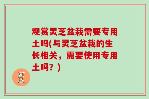 观赏灵芝盆栽需要专用土吗(与灵芝盆栽的生长相关，需要使用专用土吗？)