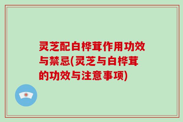 灵芝配白桦茸作用功效与禁忌(灵芝与白桦茸的功效与注意事项)