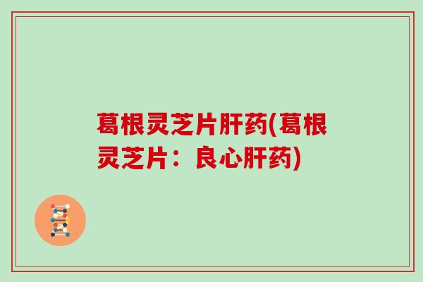 葛根灵芝片肝药(葛根灵芝片：良心肝药)