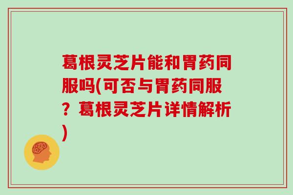 葛根灵芝片能和胃药同服吗(可否与胃药同服？葛根灵芝片详情解析)