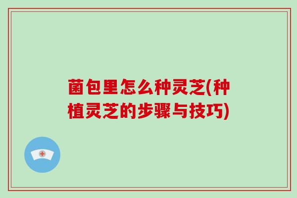 菌包里怎么种灵芝(种植灵芝的步骤与技巧)
