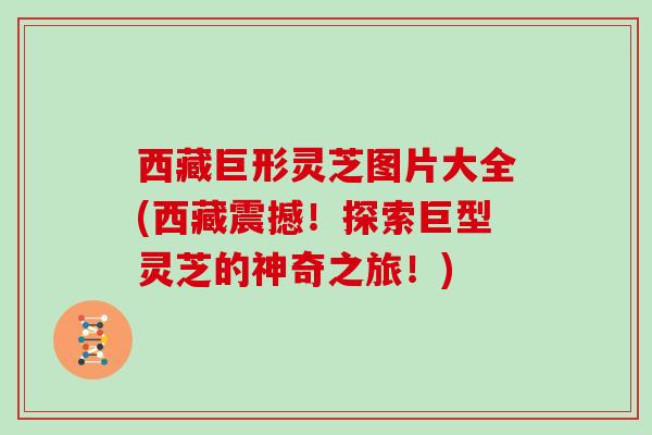 西藏巨形灵芝图片大全(西藏震撼！探索巨型灵芝的神奇之旅！)