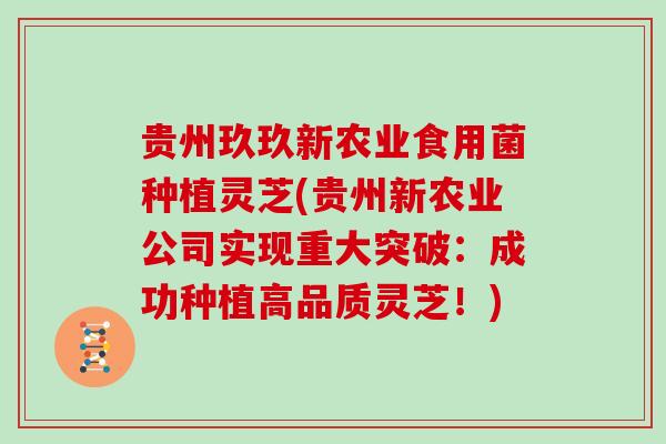 贵州玖玖新农业食用菌种植灵芝(贵州新农业公司实现重大突破：成功种植高品质灵芝！)