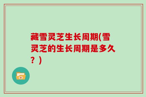 藏雪灵芝生长周期(雪灵芝的生长周期是多久？)