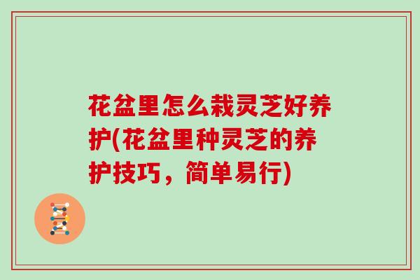 花盆里怎么栽灵芝好养护(花盆里种灵芝的养护技巧，简单易行)
