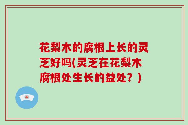 花梨木的腐根上长的灵芝好吗(灵芝在花梨木腐根处生长的益处？)
