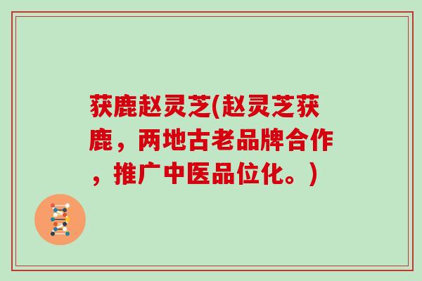 获鹿赵灵芝(赵灵芝获鹿，两地古老品牌合作，推广中医品位化。)