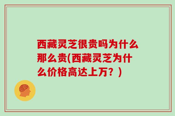 西藏灵芝很贵吗为什么那么贵(西藏灵芝为什么价格高达上万？)