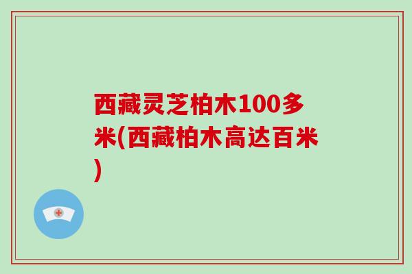 西藏灵芝柏木100多米(西藏柏木高达百米)