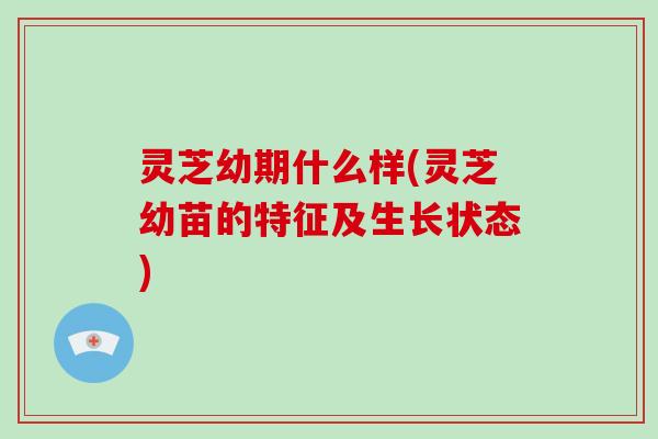 灵芝幼期什么样(灵芝幼苗的特征及生长状态)