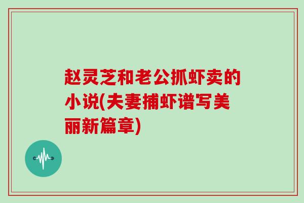 赵灵芝和老公抓虾卖的小说(夫妻捕虾谱写美丽新篇章)