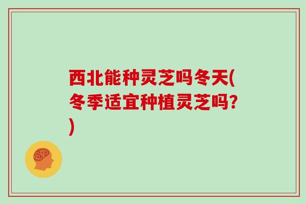 西北能种灵芝吗冬天(冬季适宜种植灵芝吗？)-第1张图片-灵芝大师