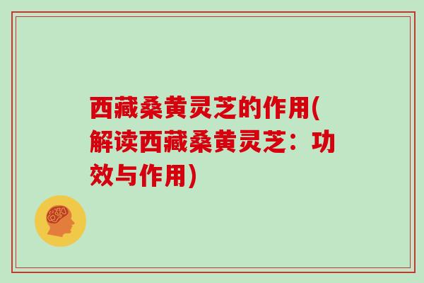西藏桑黄灵芝的作用(解读西藏桑黄灵芝：功效与作用)