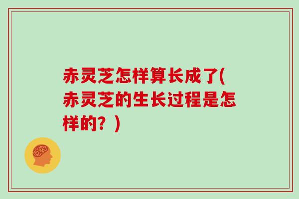 赤灵芝怎样算长成了(赤灵芝的生长过程是怎样的？)