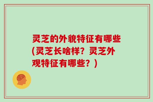 灵芝的外貌特征有哪些(灵芝长啥样？灵芝外观特征有哪些？)