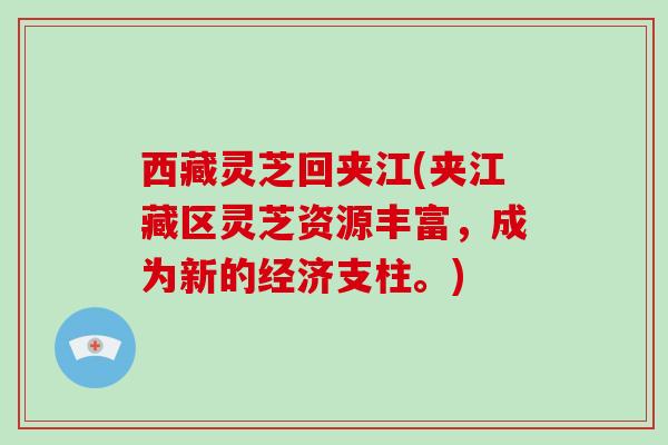 西藏灵芝回夹江(夹江藏区灵芝资源丰富，成为新的经济支柱。)